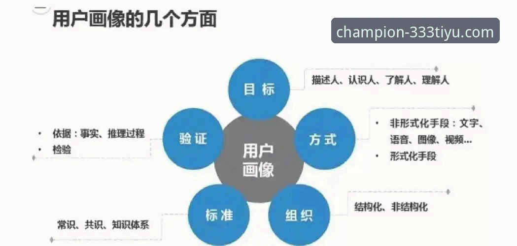 资深用户深度解析：333体育平台2026新版与体育官方网站2026最新版本实战心得