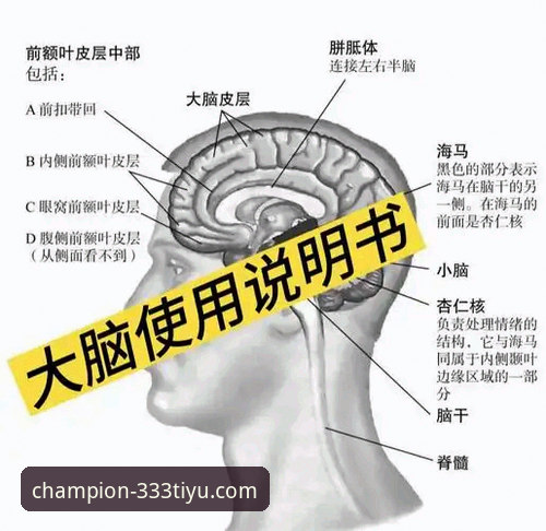 333体育2026新版官方下载完整指南：功能详解与使用技巧